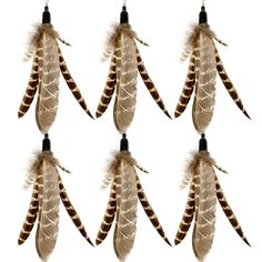 six feathers hanging from a hook on a white background