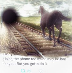 a horse standing on train tracks with the caption saying, using the phone too much may be better for you but you gota do it