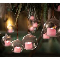 some pink candles hanging from a tree with lights in the back ground and on top of them