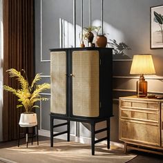 a tall cabinet with wicker doors in a room next to a lamp and potted plant