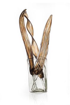 an artistic drawing of two long, curved stems in a glass vase on a white background