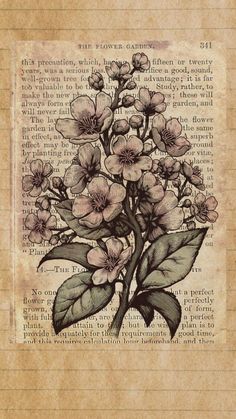 an old book page with flowers on it