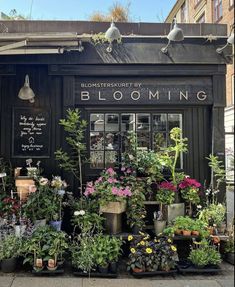 a flower shop with lots of potted plants on the front and side of it