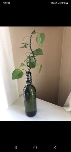 a vase with a plant in it sitting on a table