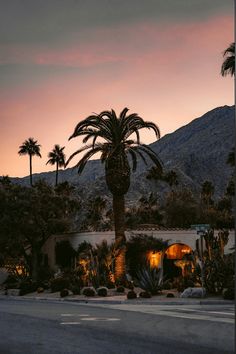 a palm tree in front of a house with mountains in the background