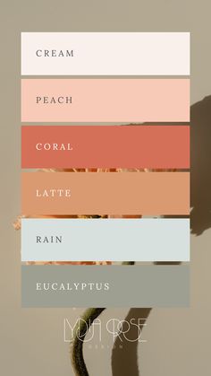 This mood board features a serene peach and eucalyptus color palette, combining soft, warm tones of peach and coral with cool, refreshing hues of light sage, soft green, and creamy neutrals. The overall design exudes natural elegance, perfect for small business branding or weddings. The balance of earthy greens and warm peach shades creates a harmonious, calming aesthetic, ideal for modern, sophisticated themes with a touch of organic beauty and romance. Soft Colorful Aesthetic, Coral Peach Color Palette, Sophisticated Wedding Color Palette, Natural Colors Palette, Coral Color Scheme, Shades Of Coral, Sherbet Color Palette, Logo Pallete Color, Opal Color Palette