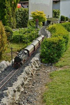 a toy train is coming down the tracks in front of some bushes and trees,