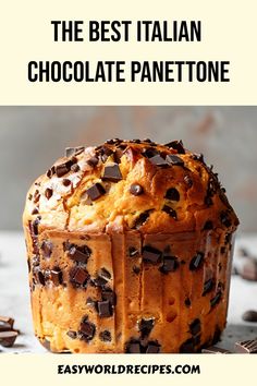 the best italian chocolate panettoe recipe