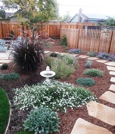 a garden with white flowers and green plants next to a wooden fence in the back yard