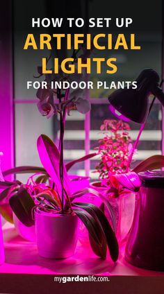 three potted plants with the words how to set up artificial lights for indoor plants