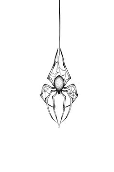 a black and white drawing of a spider hanging upside down