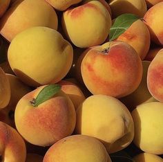 a pile of ripe peaches with green leaves