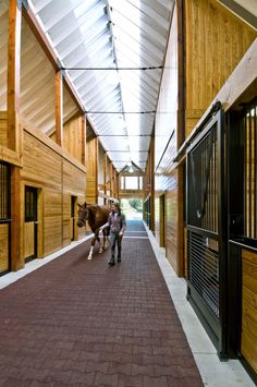 two people walking down a brick walkway with a horse in between them and another person on the other side