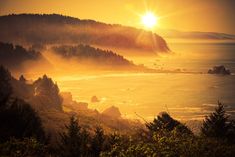 the sun is setting over an ocean with trees and mountains in the background, while fog covers the water