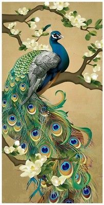 a peacock sitting on top of a tree with white flowers in it's tail