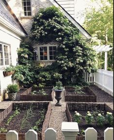 an outdoor garden with many plants in it