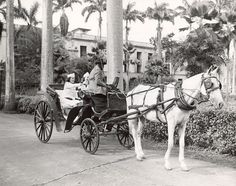 an old black and white photo of people riding in a carriage pulled by a horse