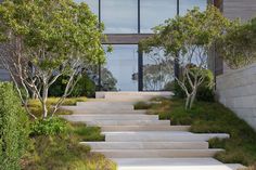 the steps lead up to an open windowed area with trees and bushes on either side