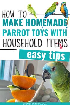 How to Make Homemade Parrot Toys Out of Household Items Conure Toys, Diy Parrot, Diy Parrot Toys, Budgies Parrot, Conure Bird, Parakeet Toys