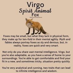 an animal poem with the words virgo spirit animal fox