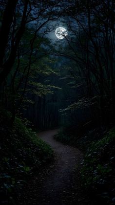 a dark forest with a full moon in the sky and trees on either side of it