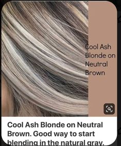 Platinový Blond, Grey Transition, Cool Ash Blonde, Ash Blonde Hair Colour, Long Shag, Chunky Highlights, Ash Blonde Highlights, Ashy Blonde, Blond Balayage