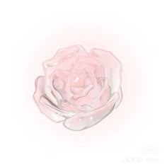 a drawing of a pink rose on a white background