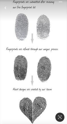 three fingerprints are shown in different sizes and shapes, with the words fingerprints on them