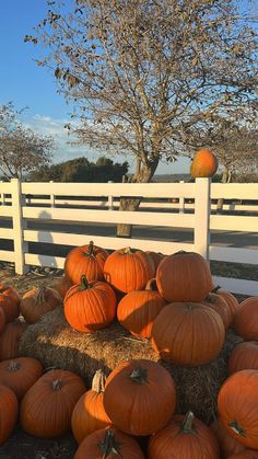 pumpkins are stacked on hay in front of a white fence