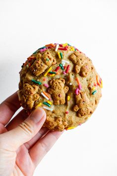 a hand holding a cookie with sprinkles and chocolate chip cookies on it