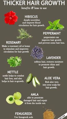 the health benefits of flowers and herbs info poster with instructions on how to use them