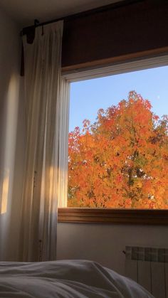 a bedroom with a window that looks out onto the trees outside and leaves on the ground