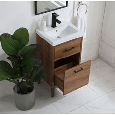 a bathroom with a sink and mirror next to a potted plant on the floor