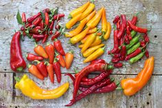 many different colored peppers on a wooden surface