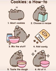 the instructions for how to make cookies