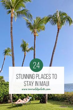 palm trees and lawn chairs with the words, 24 stunning places to stay in mau