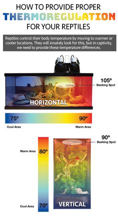 an info sheet describing how to use thermometers for cleaning and other things