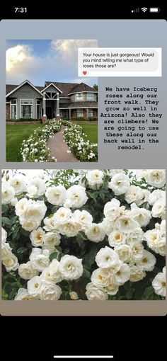 an image of some white flowers in front of a house with the caption's message