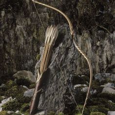 an arrow is attached to a rock with moss