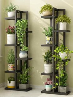 an assortment of potted plants are arranged on shelves in the corner of a room