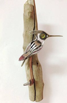 a bird is perched on top of a piece of driftwood and has yellow eyes