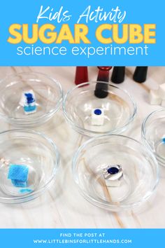 kids's activity sugar cube experiment in clear glass bowls with toothbrushes on top