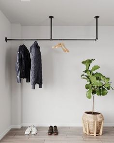 a potted plant sitting on top of a wooden floor next to a coat rack