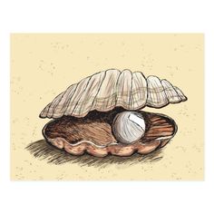 a card with an illustration of a clamshell on it's side and the bottom half of its shell