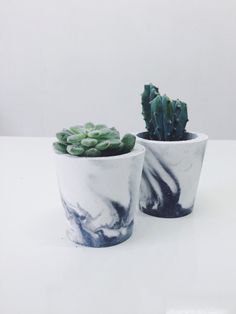 two white and black potted plants sitting on top of a table next to each other