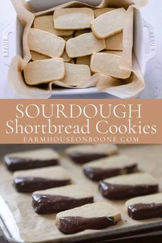 homemade shortbread cookies with chocolate frosting in a baking pan