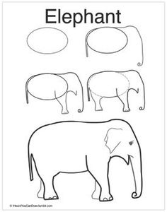 an elephant is shown with three different shapes