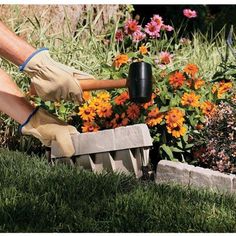 a person using a garden tool to trim flowers