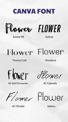 Canva font for professional designs. Diverse fonts help designs become rich. Choosing the right font helps the design become more professional and attractive. Please choose the font and try it out!. #FreeCursiveFonts #BestCursiveFonts #CursiveFontLove #HandwrittenFonts #CursiveTypography #CursiveDesign #CursiveInspiration