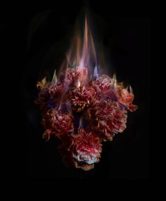 a bunch of flowers that are sitting in the middle of some kind of fire on a black background